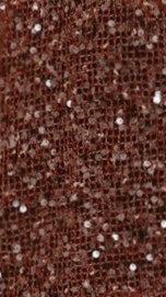 Zinnia Oversized Sequins Tee Rust