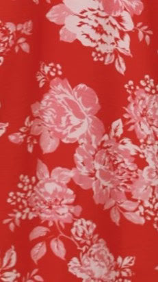 Haisley Mini Dress Red Floral