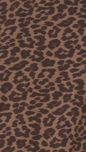 Bobby Crew Neck Tee Leopard Print