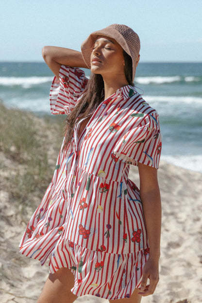 Peachy Mini Dress Red Picnic Stripe