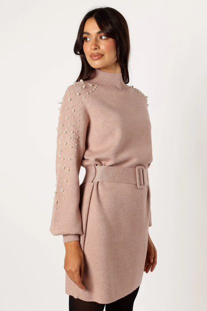 Maeve Long Sleeve Mini Dress Mocha
