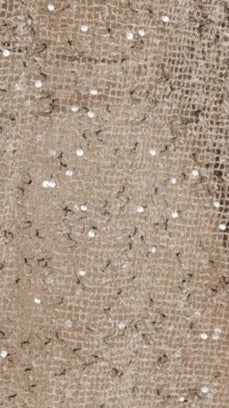 Zinnia Oversized Sequins Tee Beige