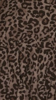Lidia Shorts Leopard Print