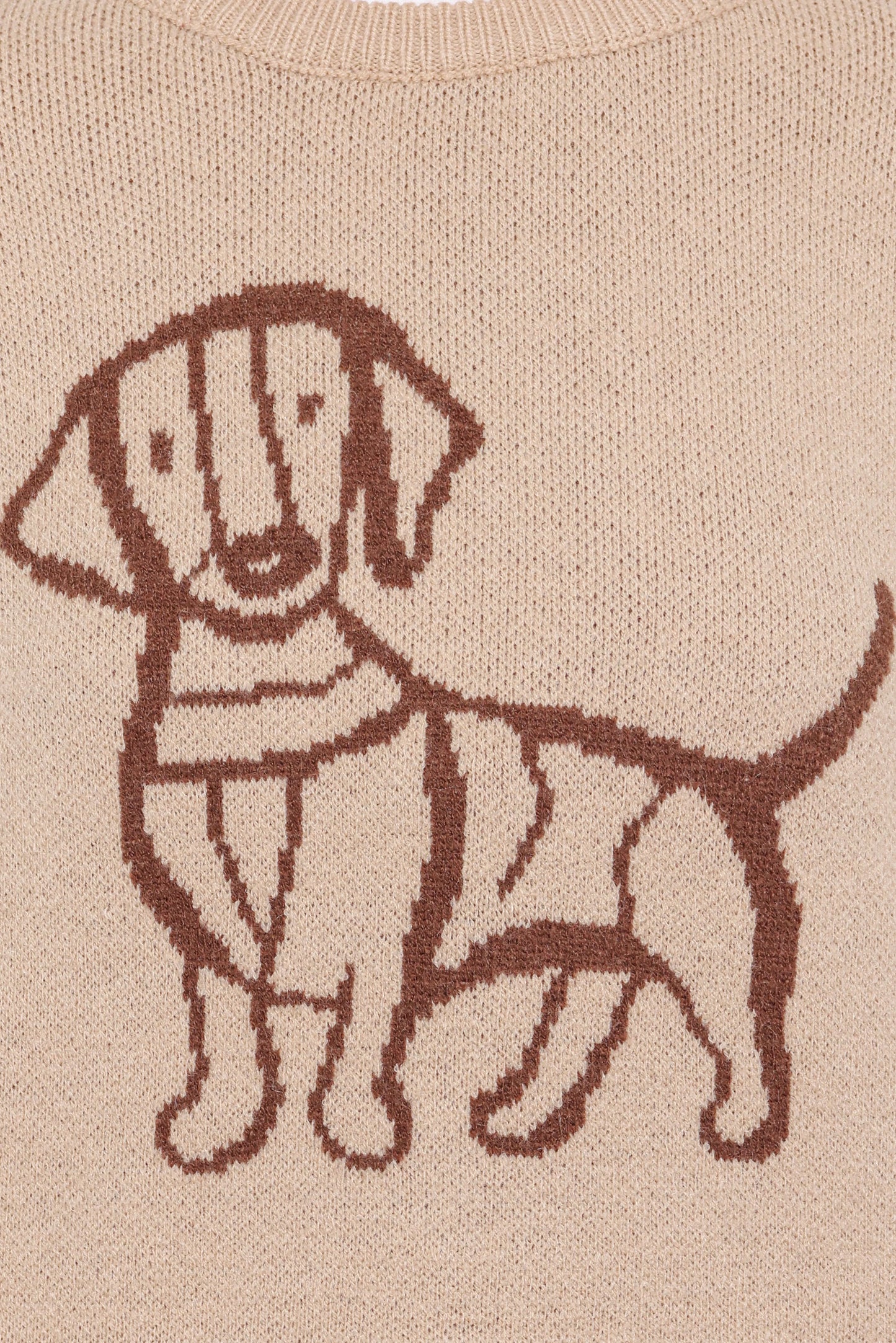 Amber Dachshund Sweater Beige