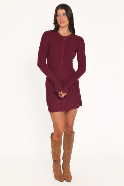 Darlina Long Sleeve Mini Dress Burgundy