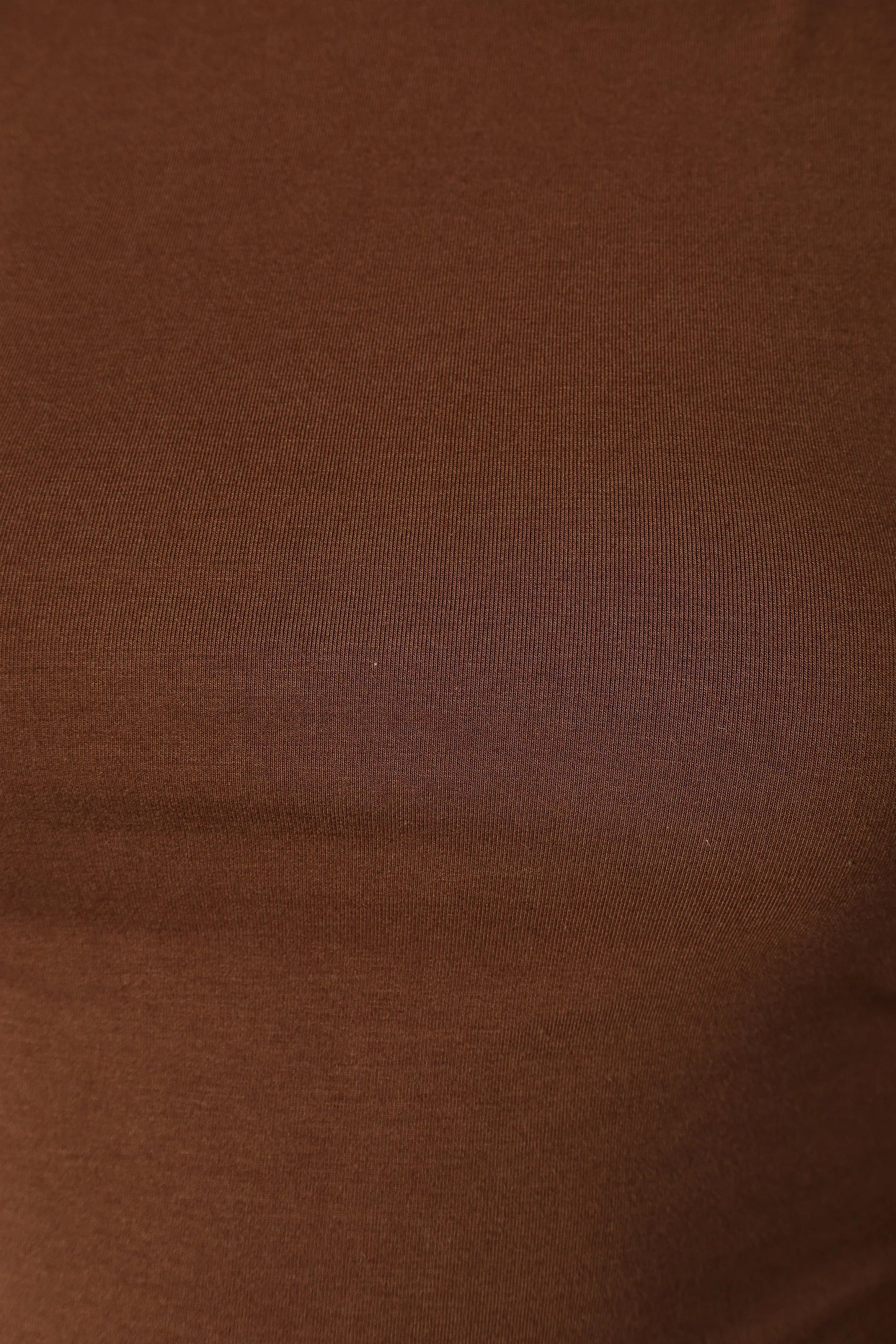 Wanda Long Sleeve Top Coco Brown