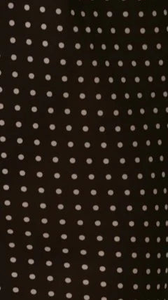 Onella Sheer Maxi Skirt Black White Spot