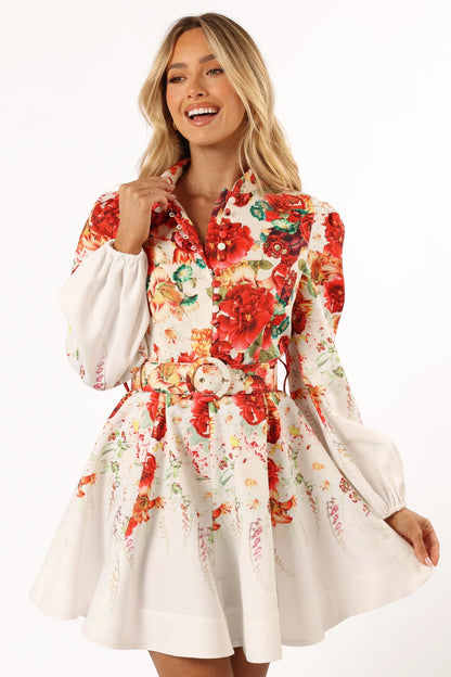 Pipps Long Sleeve Mini Dress Multi