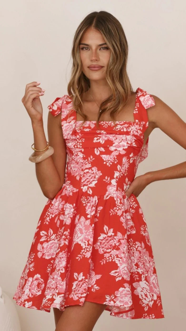 Haisley Mini Dress Red Floral