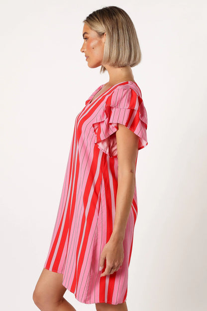 Amara Mini Dress Pink Stripe