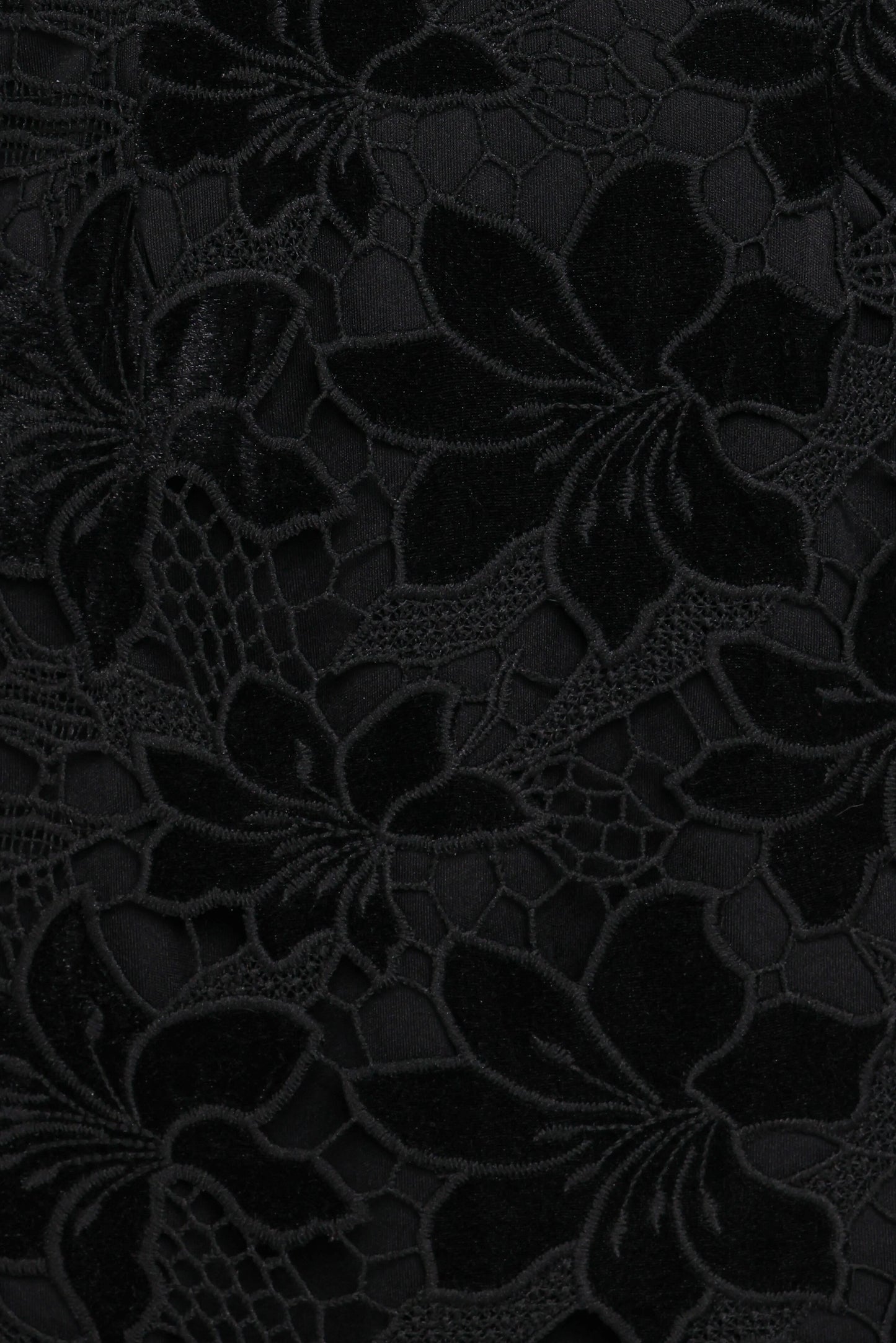 Cynthia Velvet Lace Mini Dress Black